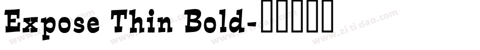 Expose Thin Bold字体转换